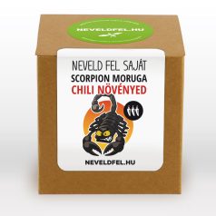Scorpion Moruga Chili termesztő készlet