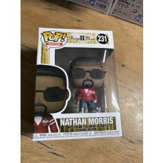 Funko pop Nathan Morris boys