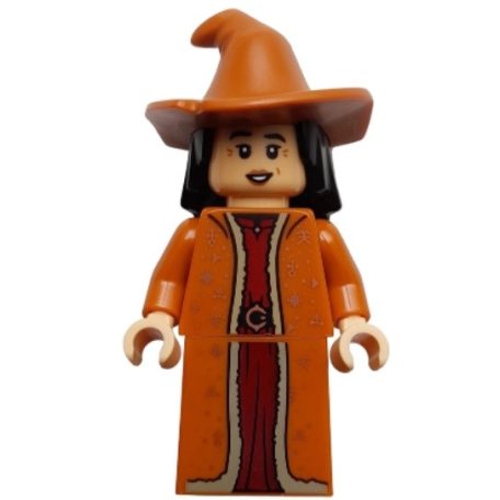 Professor Vector- harry potter lego figura
