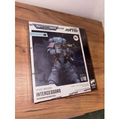   Warhammer 40k, Space Wolves Intercessors, with bolt rifle, joytoy