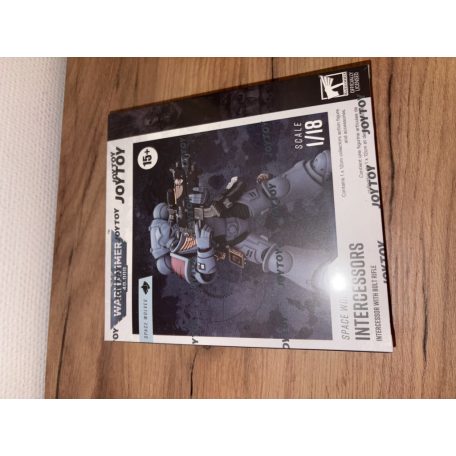 Warhammer 40k, Space Wolves Intercessors, with bolt rifle, joytoy