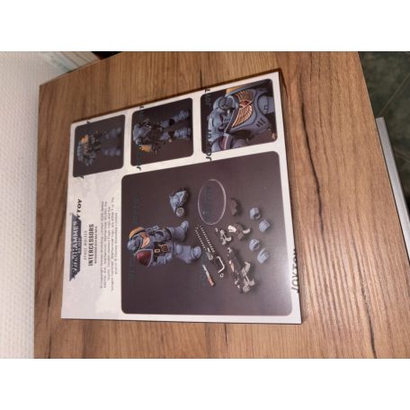 Warhammer 40k, Space Wolves Intercessors, with bolt rifle, joytoy