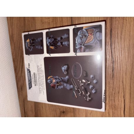 Warhammer 40k, Space Wolves Intercessors, with bolt rifle, joytoy