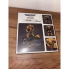 Warhammer Imperial Fists Intercessors, with bolt rifle